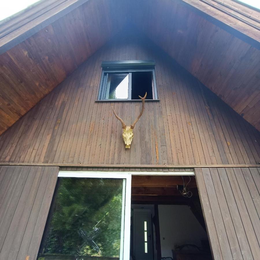 Chalet- Vallee De Luchon - Vallee De La Pique Cierp Extérieur photo